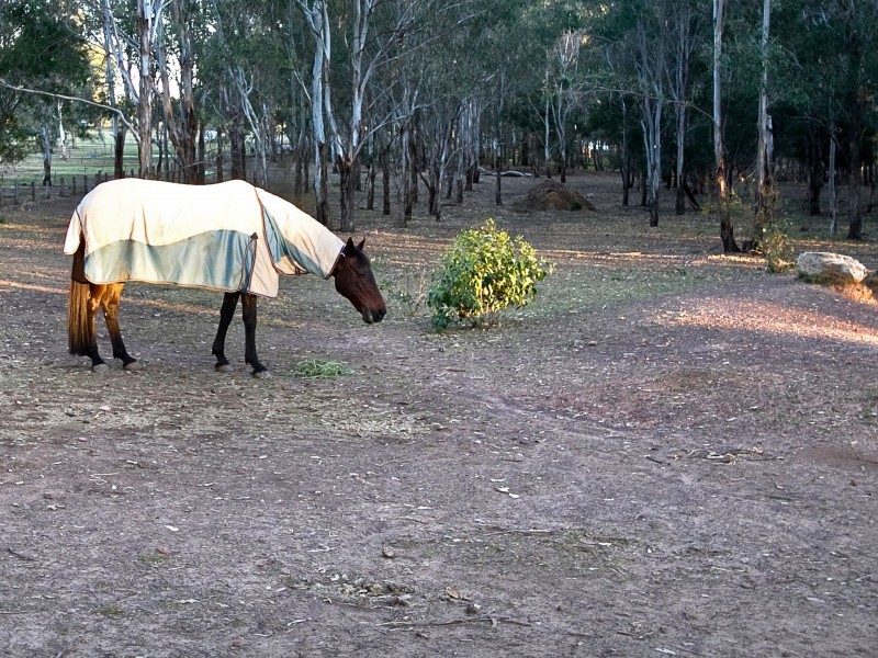 28 Nutwood Lane, Windsor Downs NSW 2756