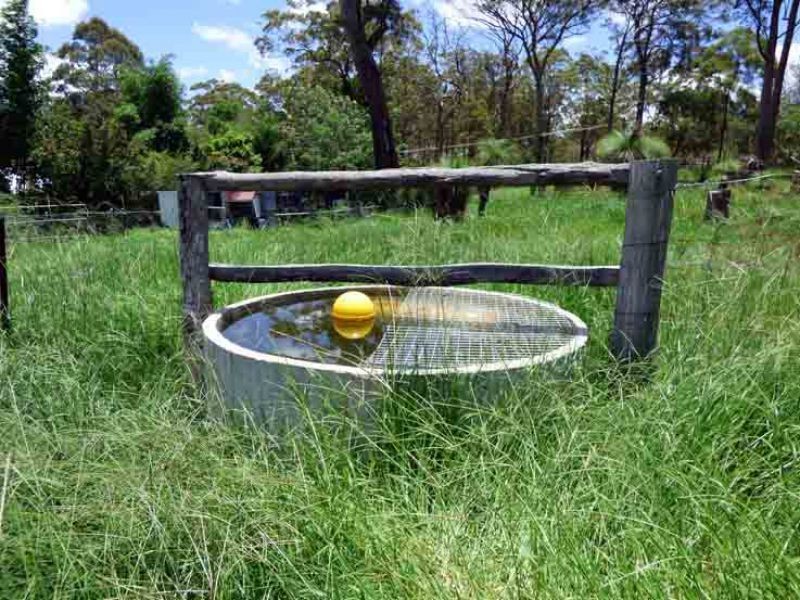 8 Pinnell Road, Crows Nest QLD 4355