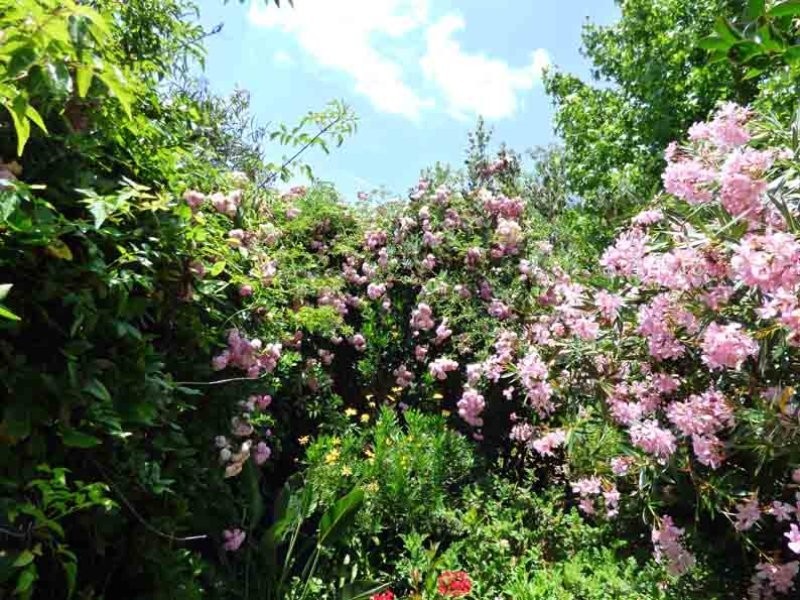 1 Lee Court, Crows Nest QLD 4355