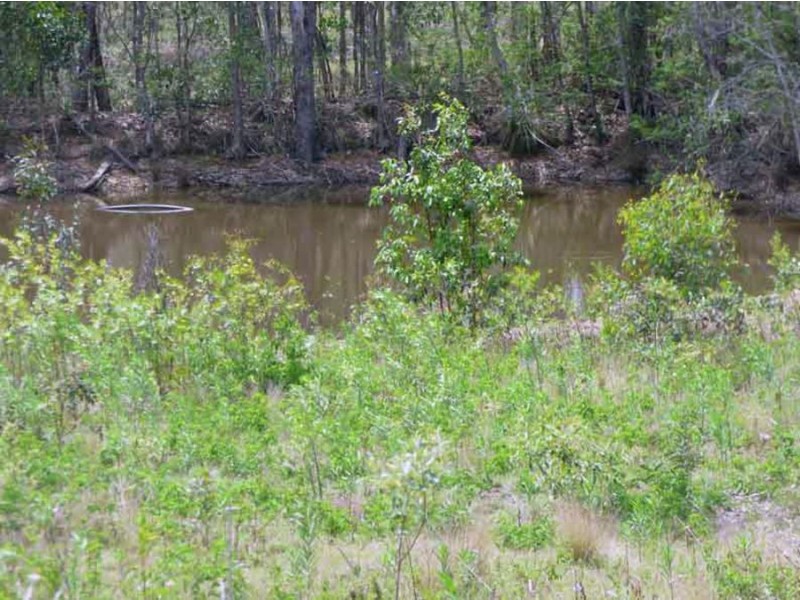 281 Dyer Road Googa Creek, Blackbutt QLD 4306