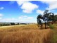 442 O’Connor Road, Crows Nest QLD 4355