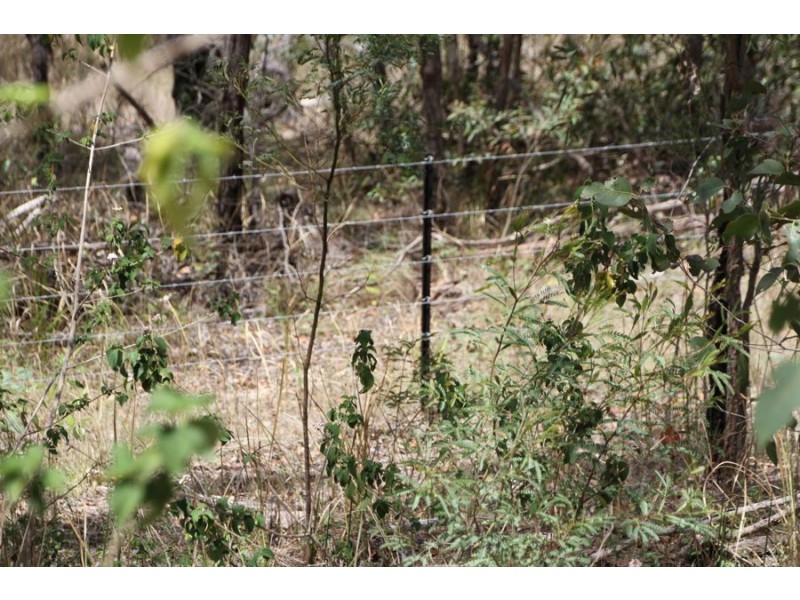 39 Sebastapool Road, Crows Nest QLD 4355