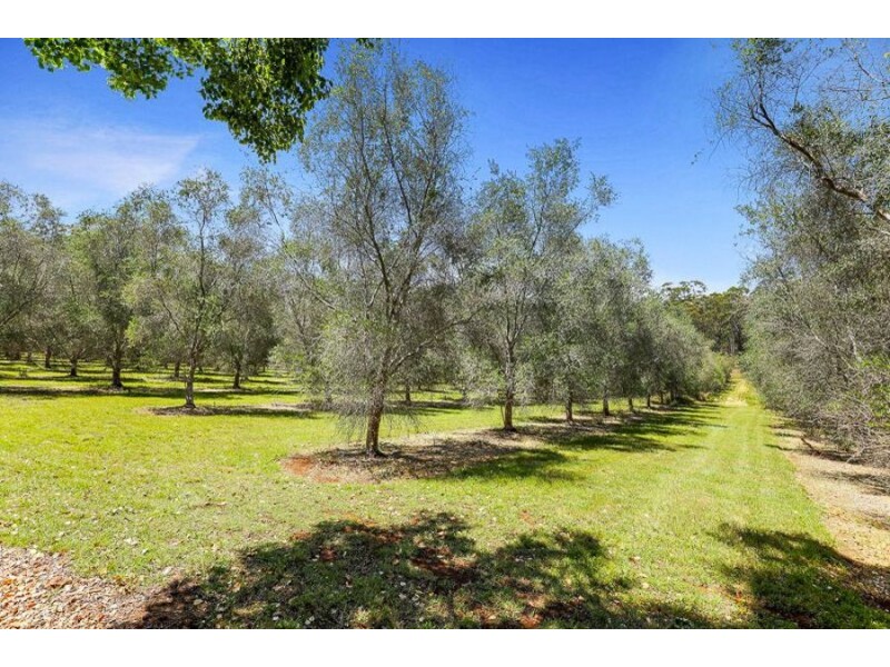 69 Brennan Rd, Hampton QLD 4352