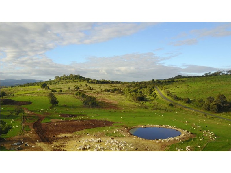 964 Bunya Mountains Maclagan Road, Maclagan QLD 4352