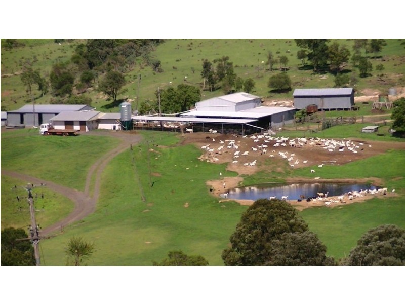 964 Bunya Mountains Maclagan Road, Maclagan QLD 4352