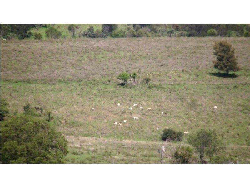 964 Bunya Mountains Maclagan Road, Maclagan QLD 4352