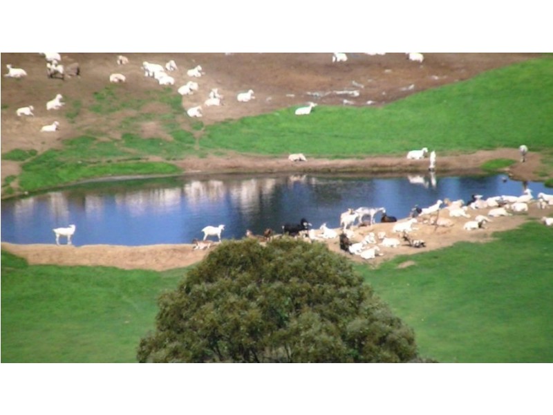 964 Bunya Mountains Maclagan Road, Maclagan QLD 4352