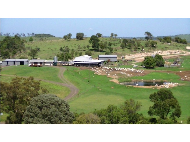 964 Bunya Mountains Maclagan Road, Maclagan QLD 4352