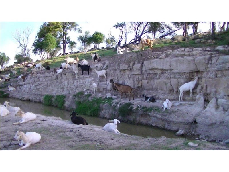 964 Bunya Mountains Maclagan Road, Maclagan QLD 4352