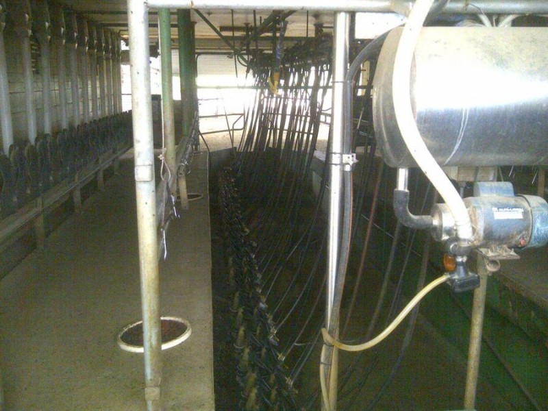 964 Bunya Mountains Maclagan Road, Maclagan QLD 4352