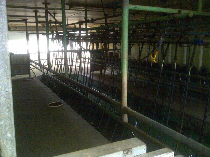 964 Bunya Mountains Maclagan Road, Maclagan QLD 4352