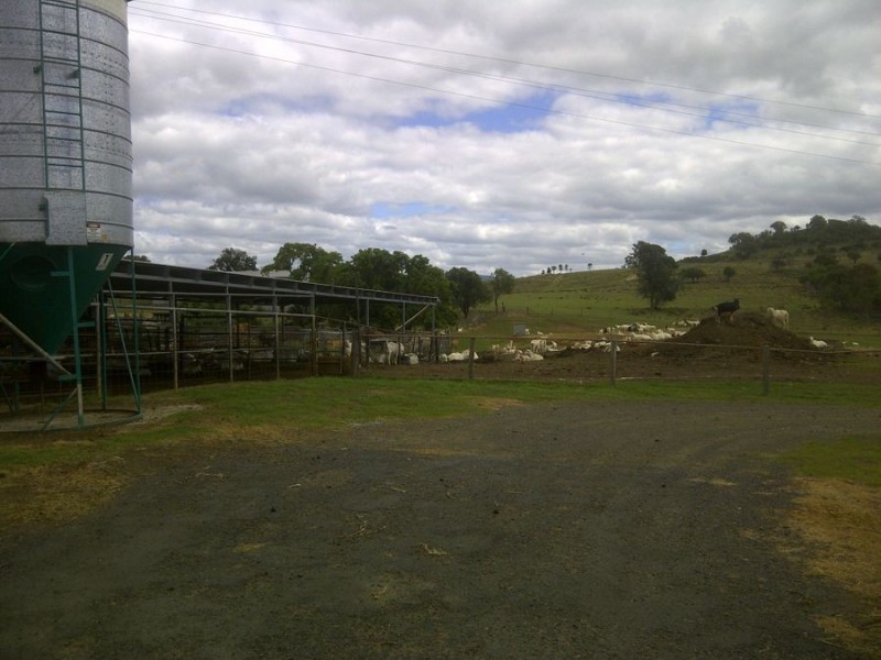 964 Bunya Mountains Maclagan Road, Maclagan QLD 4352