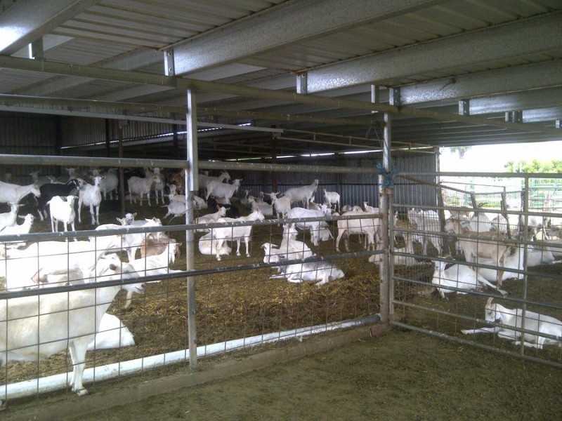 964 Bunya Mountains Maclagan Road, Maclagan QLD 4352