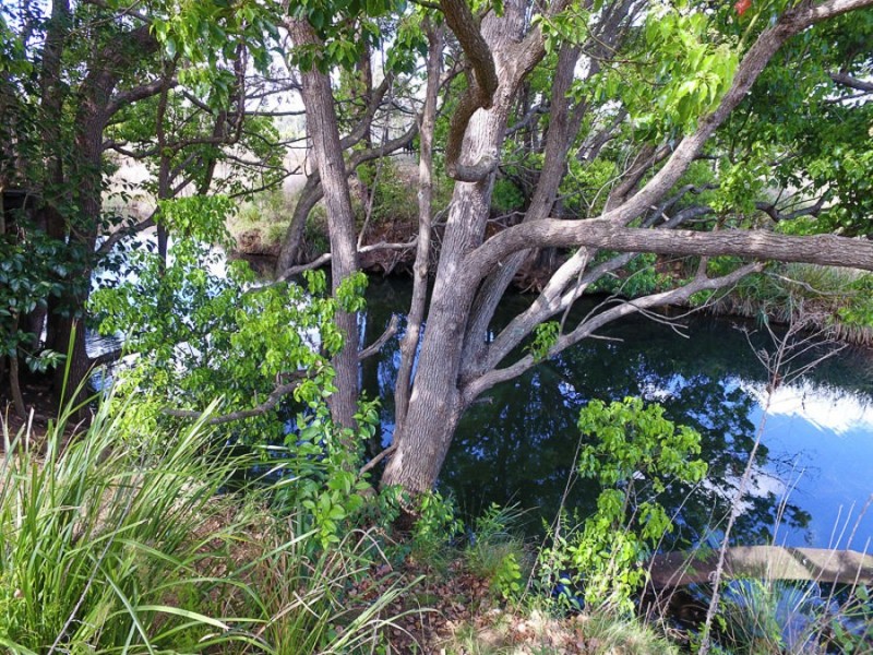 14 Hayden St, Crows Nest QLD 4355
