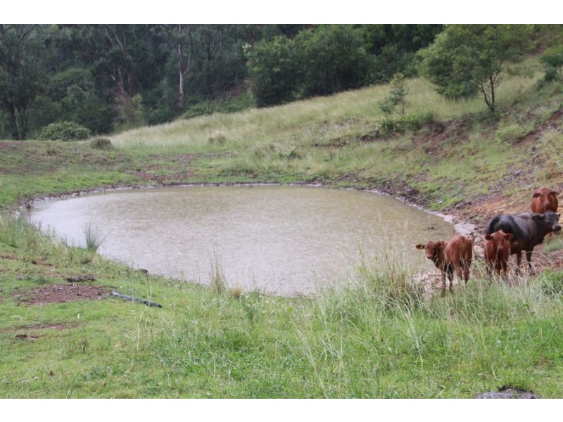 Lot 203 Cooyar-Rangemore Road, Cooyar QLD 4402