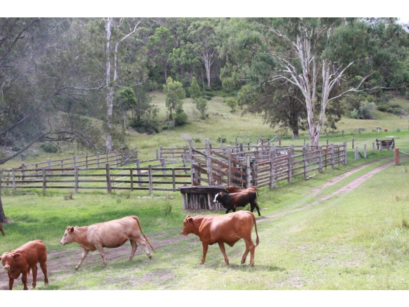 Lot 203 Cooyar-Rangemore Road, Cooyar QLD 4402