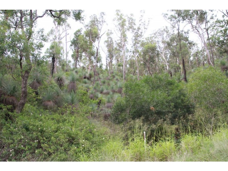 Lot 203 Cooyar-Rangemore Road, Cooyar QLD 4402