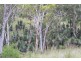 Lot 203 Cooyar-Rangemore Road, Cooyar QLD 4402