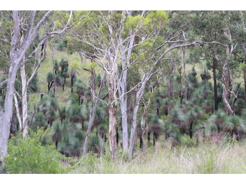 Lot 203 Cooyar-Rangemore Road, Cooyar QLD 4402