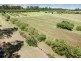 93 Brennan Road, Hampton QLD 4352