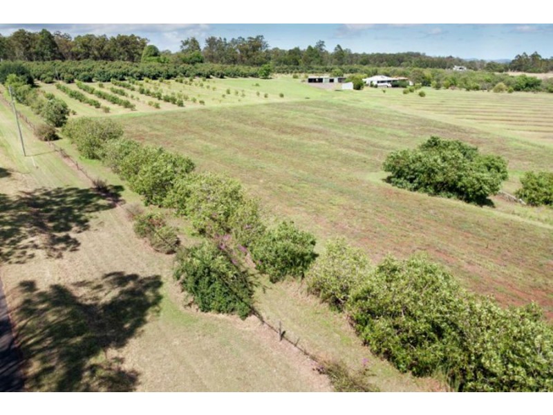 93 Brennan Road, Hampton QLD 4352