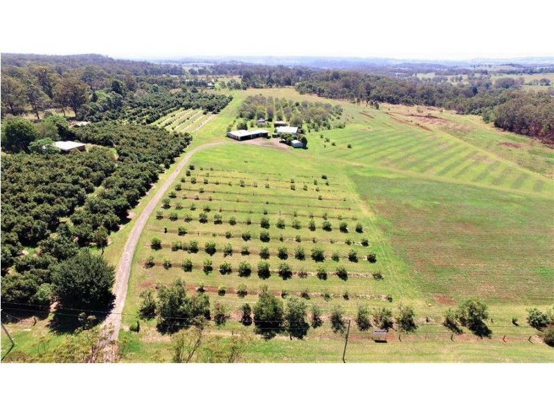 Lot 1 93 Brennan Road, Hampton QLD 4352