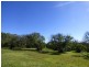Lot 4 93 Brennan Road, Hampton QLD 4352