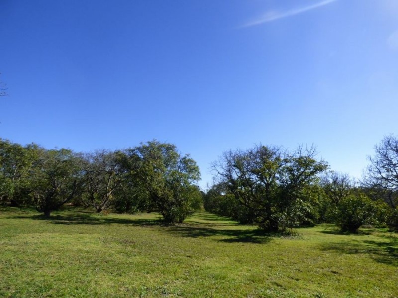 Lot 4 93 Brennan Road, Hampton QLD 4352