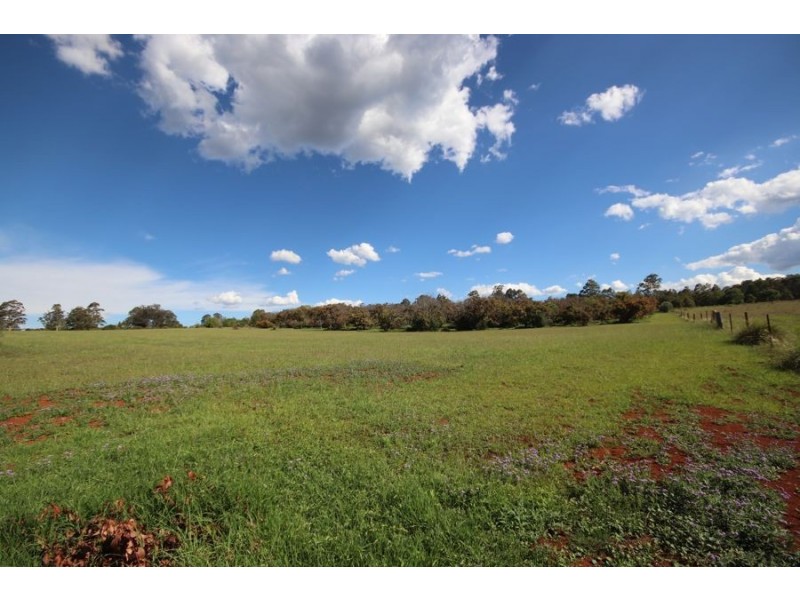 Lot 4 93 Brennan Road, Hampton QLD 4352