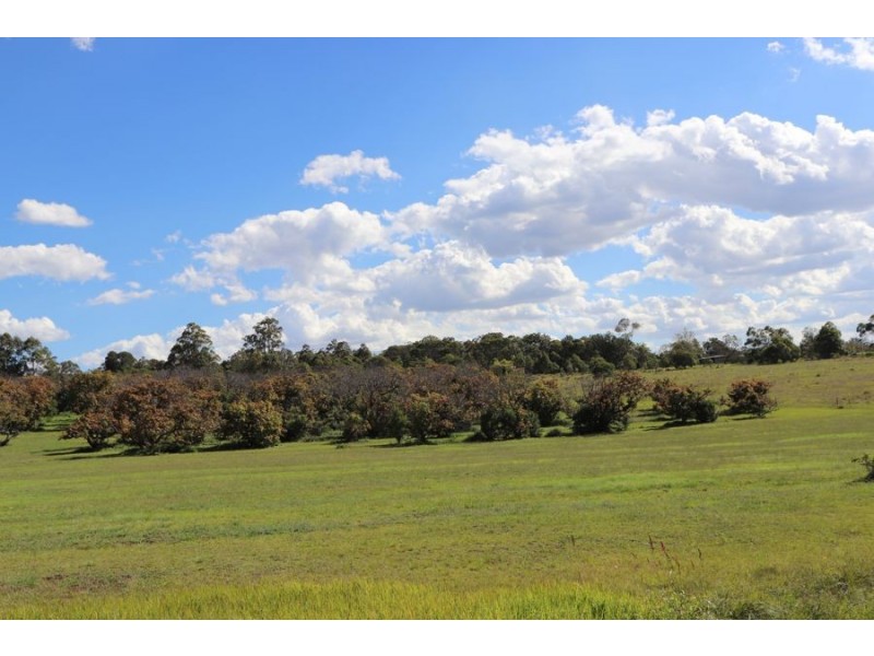 Lot 4 93 Brennan Road, Hampton QLD 4352