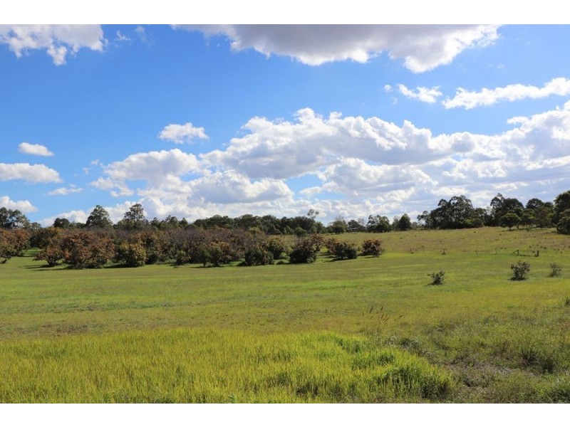 Lot 4 93 Brennan Road, Hampton QLD 4352