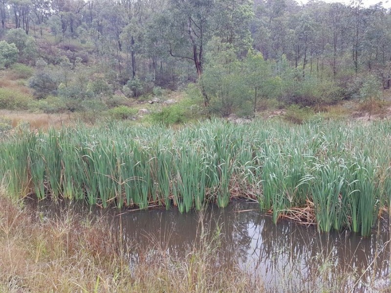 Lot 39 Sebastapool Road, Crows Nest QLD 4355