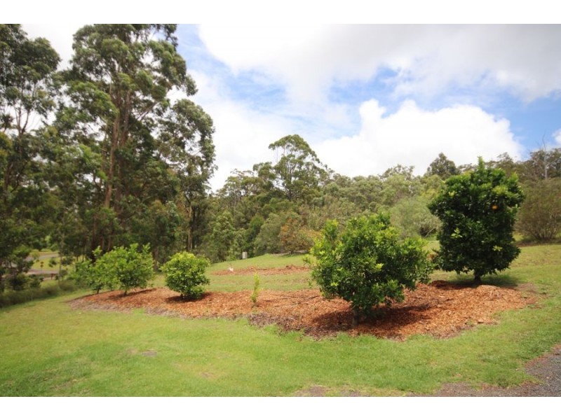 92 Forest Drive, Hampton QLD 4352