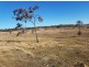 Lot 7, 349 Plainby Road, Crows Nest QLD 4355
