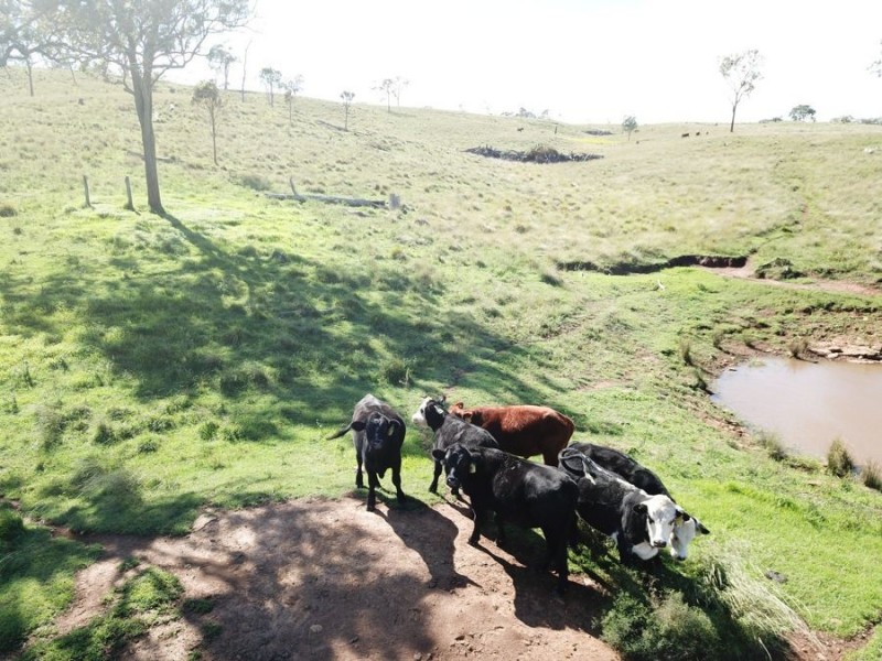 Lot 7, 349 Plainby Road, Crows Nest QLD 4355