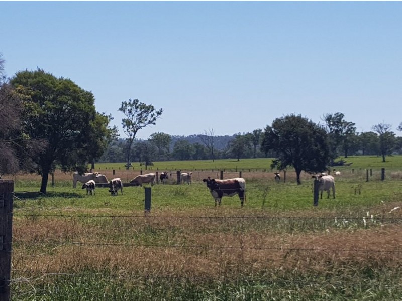 116-148 Scrub Creek Road, Toogoolawah QLD 4313