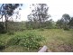 86 Forest Drive, Hampton QLD 4352