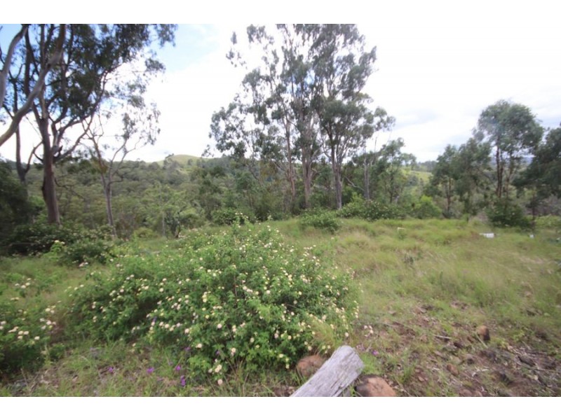 86 Forest Drive, Hampton QLD 4352