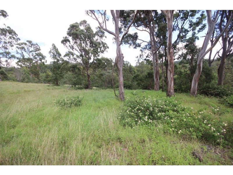 86 Forest Drive, Hampton QLD 4352
