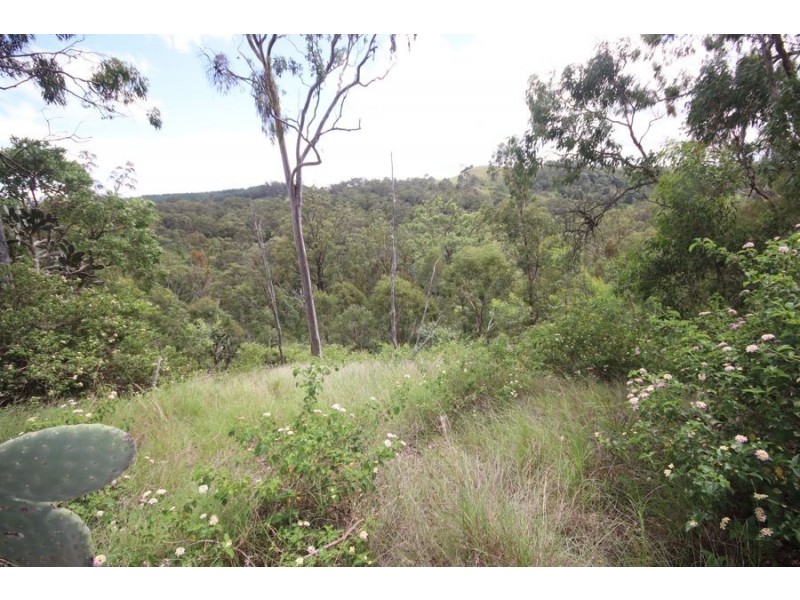 86 Forest Drive, Hampton QLD 4352