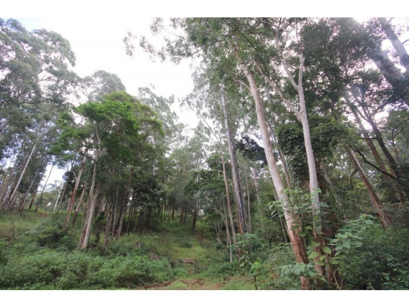 Lot 10 Ravensbourne Dip Road, Ravensbourne QLD 4352