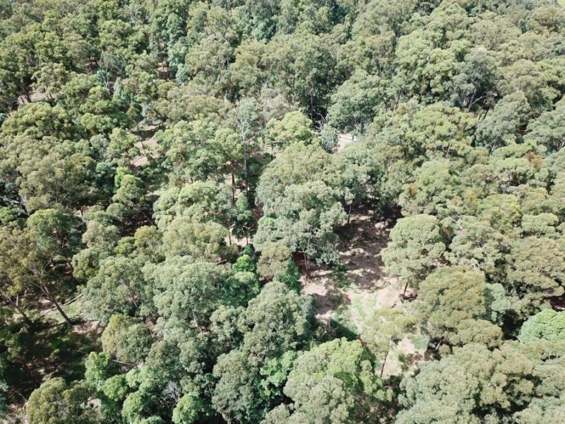 Lot 10 Ravensbourne Dip Road, Ravensbourne QLD 4352