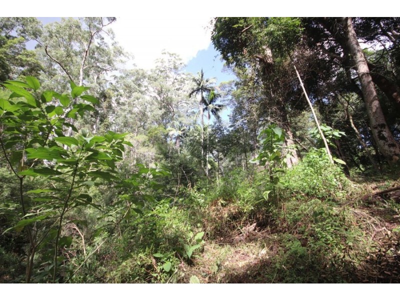 Lot 10 Ravensbourne Dip Road, Ravensbourne QLD 4352