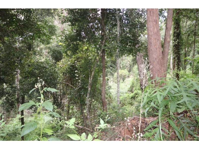 Lot 10 Ravensbourne Dip Road, Ravensbourne QLD 4352