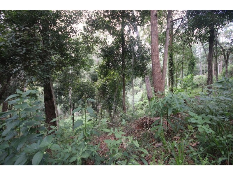 Lot 10 Ravensbourne Dip Road, Ravensbourne QLD 4352