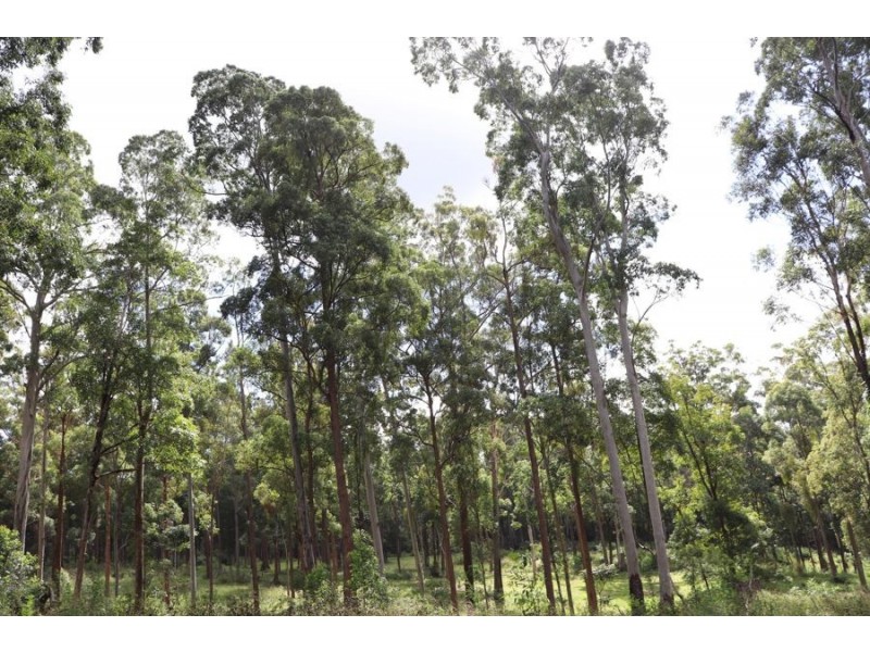 Lot 10 Ravensbourne Dip Road, Ravensbourne QLD 4352