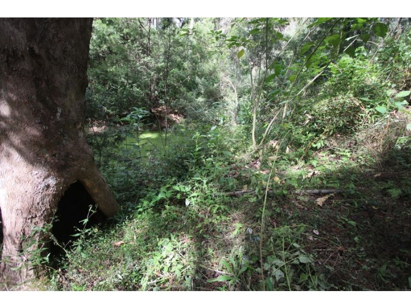 Lot 10 Ravensbourne Dip Road, Ravensbourne QLD 4352