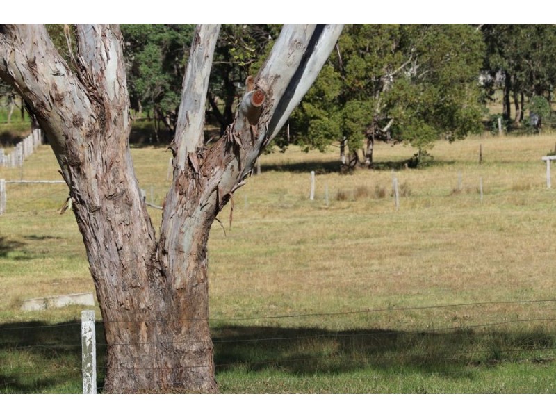 Lot 20 Devoncourt Lane, Crows Nest QLD 4355