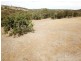 Lot 191 Oakey Cooyar Road, Nutgrove QLD 4352