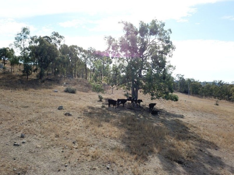 Lot 191 Oakey Cooyar Road, Nutgrove QLD 4352
